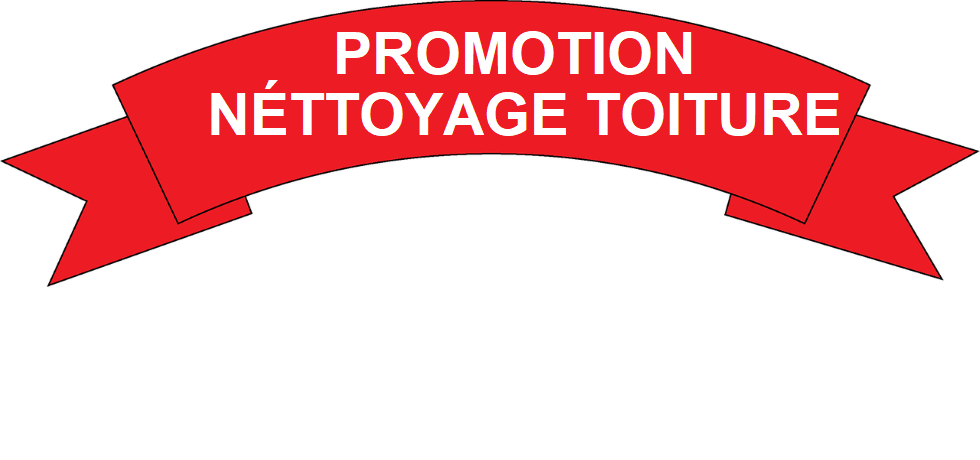 Promotion Nettoyage Toiture ( accueille ) ( realisation )